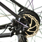 29 πτυσσόμενα ηλεκτρικά ποδήλατα ρύπου ίντσας 1000w 750W για τους ενηλίκους παιδιών