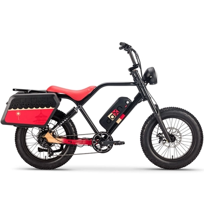 pc130677190 250w 750w elektrische fiets bicycle battery 48v 20ah fat tire for adults