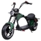 Παχύ ηλεκτρικό Harley ελαστικών αυτοκινήτου μηχανικό δίκυκλο 1000w 60v 2000w Citycoco για τους ενηλίκους