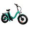 48v παχύ ηλεκτρικό ποδήλατο 20 ίντσα 500w ροδών 40 Mph με μπαταρίες με τις παχιές ρόδες