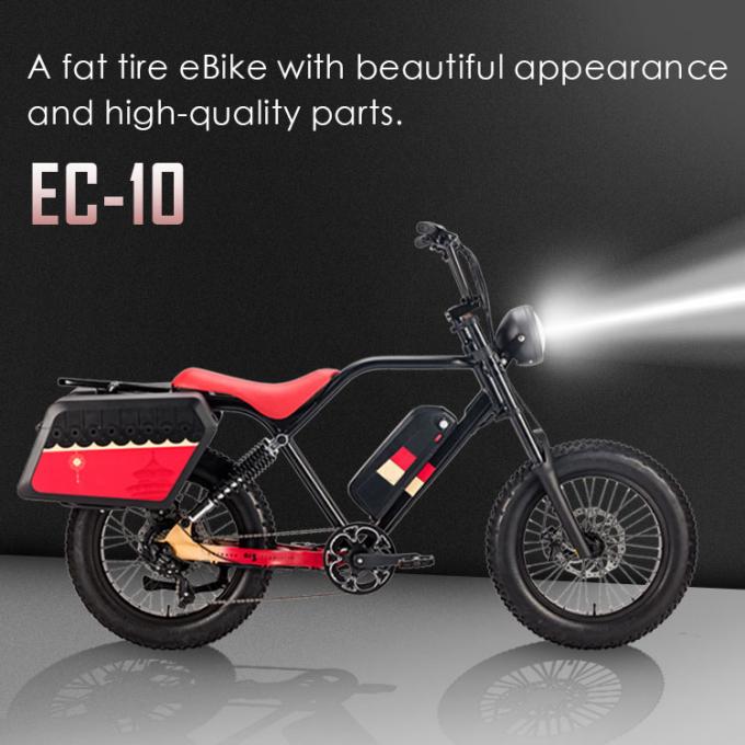 παχιά ρόδα μπαταριών 48v 20AH ποδηλάτων 250W 750w Elektrische Fiets για τους ενηλίκους 1