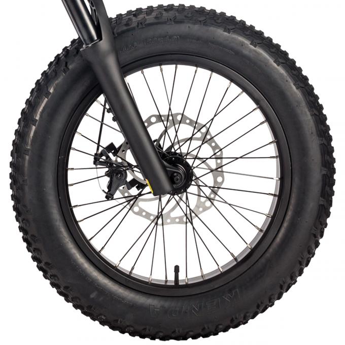 παχιά ρόδα μπαταριών 48v 20AH ποδηλάτων 250W 750w Elektrische Fiets για τους ενηλίκους 3