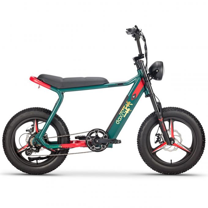 παχιά ρόδα μπαταριών 48v 20AH ποδηλάτων 250W 750w Elektrische Fiets για τους ενηλίκους 8
