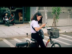 Ηλεκτρικό ποδήλατο βρωμιάς πόλης 250w χαμηλού κόστους 48v οθόνη LCD ηλεκτρικό ποδήλατο 20 ιντσών 36V